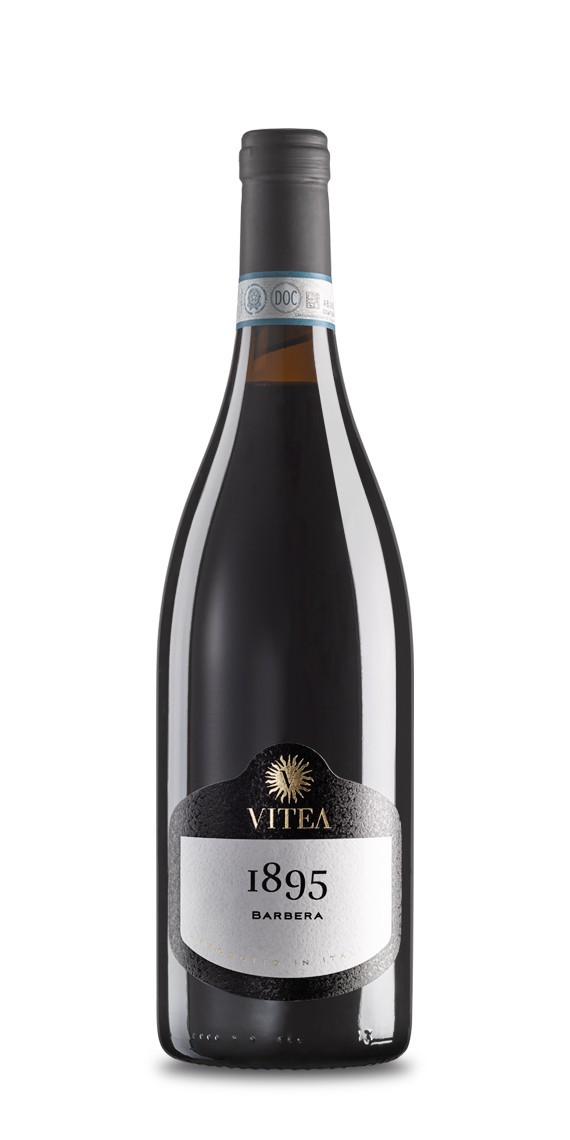 1895 Barbera