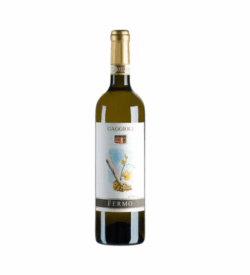Fermo Pignoletto Superiore DOCG