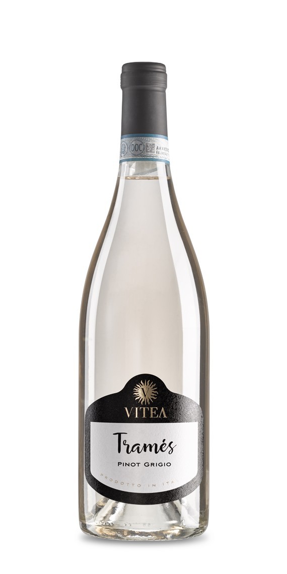 Tramés Pinot grigio